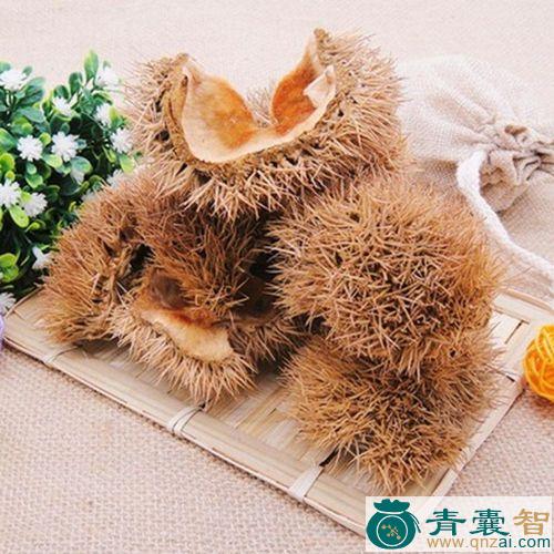 中药材偶栗子图片