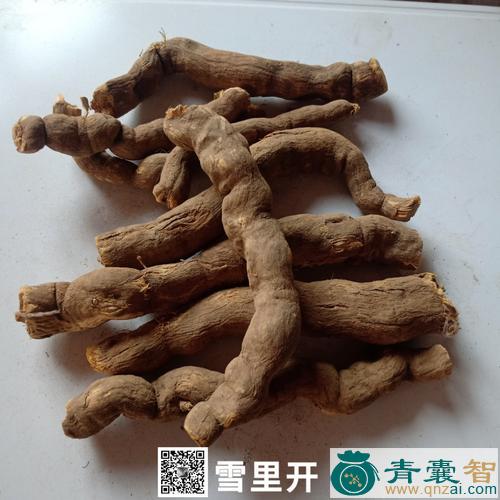 傍雪开的性状性味归经以及功效用法-青囊智