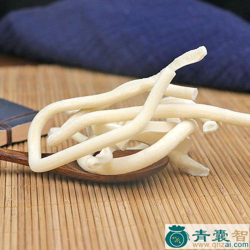 中药材催乳草图片
