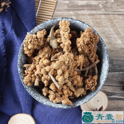 中药材光背枇杷图片