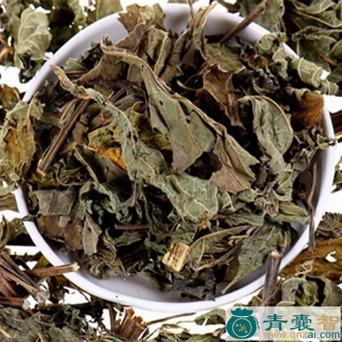 中药材光风图片