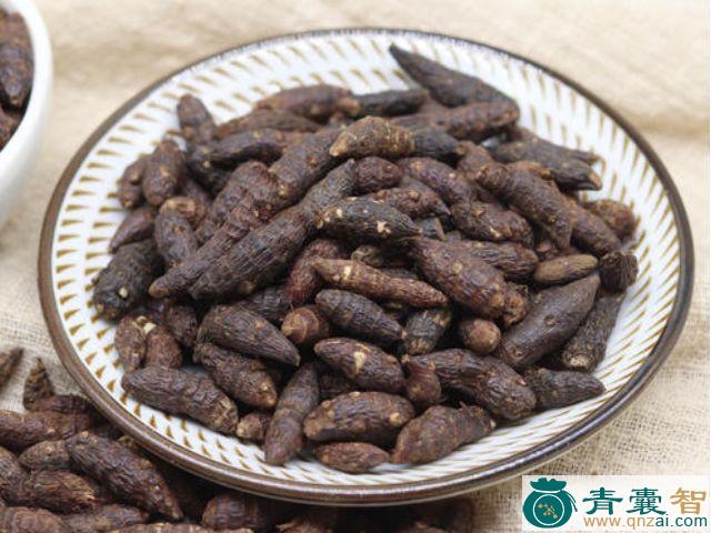 克头青的性状性味归经以及功效用法和注意事项-青囊智