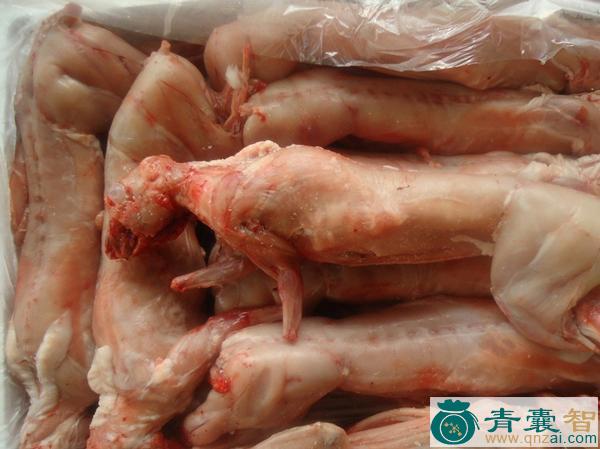 中药材兔子肠图片