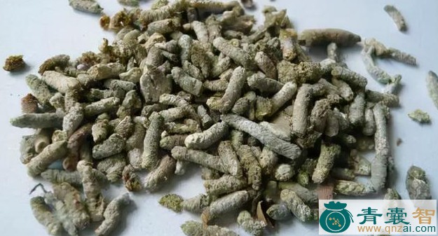 兔屎的性状性味归经以及功效用法和注意事项-青囊智