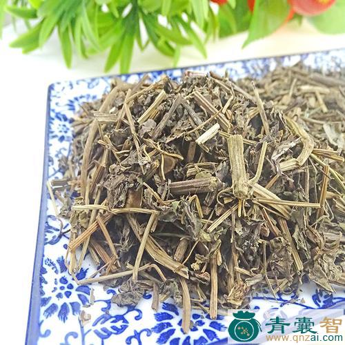 中药材兜铃苗图片