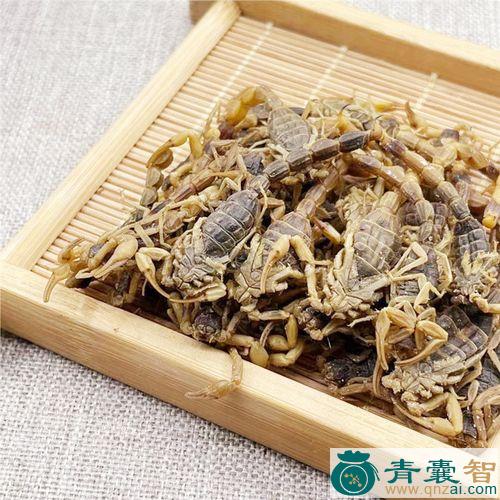 中药材全虫图片