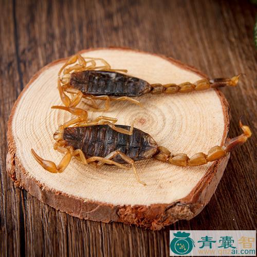 中药材全蝎图片