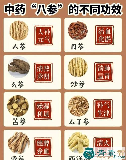 中药材八担仁图片