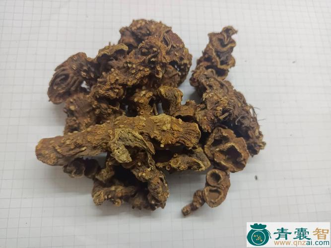 八角七的性状性味归经以及功效用法和注意事项-青囊智