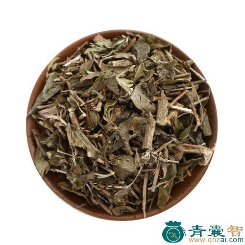 中药材六月干图片
