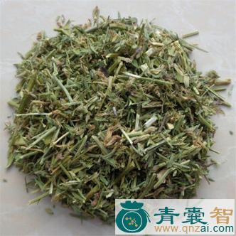 中药材六氏草图片