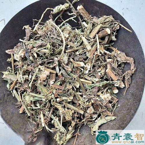 中药材六耳消图片