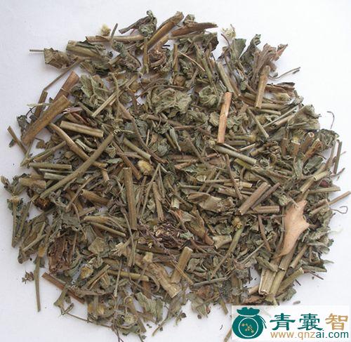 中药材兰布政图片