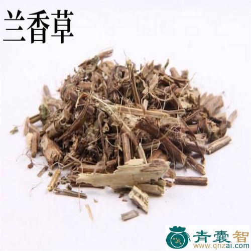 中药材兰香草图片