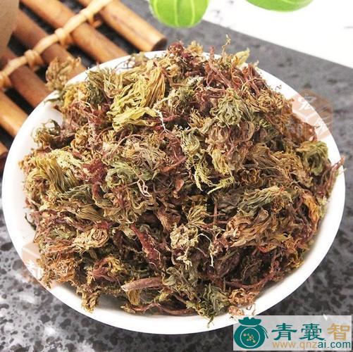 中药材养心草回生草图片