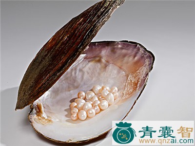 中药材内宝珠图片
