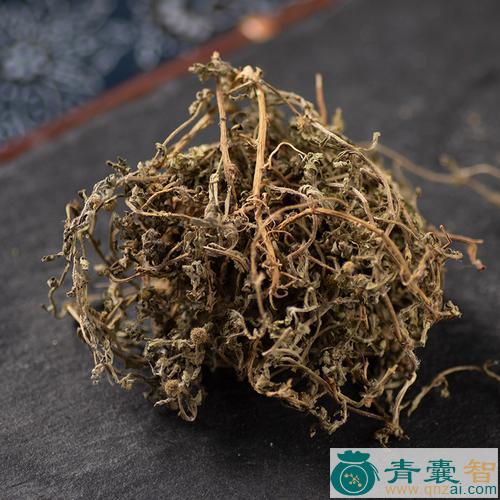 冬不雕草的性状性味归经以及功效用法和注意事项-青囊智