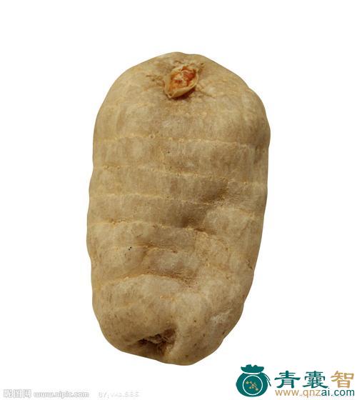 中药材冬里麻图片