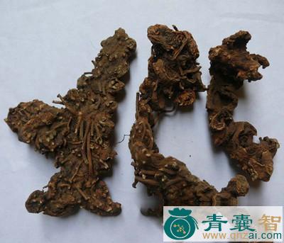 中药材冬里麻根图片