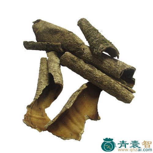 冬青木皮的性味归经以及功效用法-青囊智