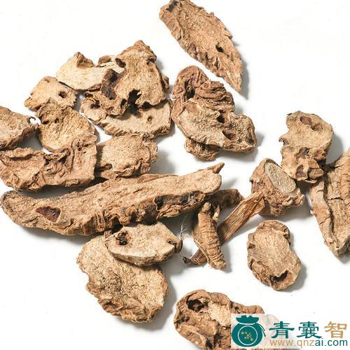 中药材冲天七图片