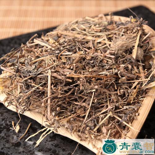 中药材冷水草图片
