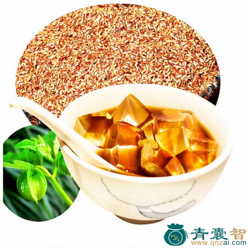 中药材凉粉子图片