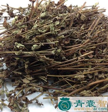 凉粉柴的性味归经以及功效用法-青囊智
