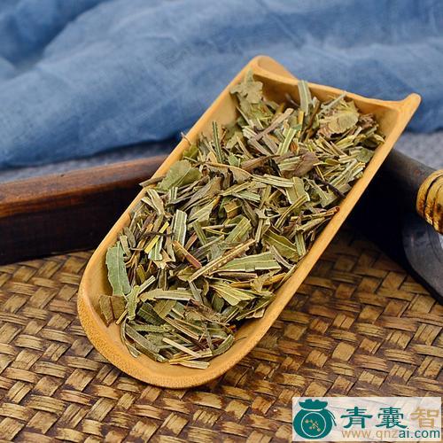 中药材凤尾茶图片