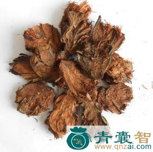 中药材凤尾贯众图片