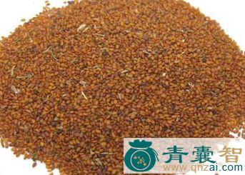 出莙荙儿的性味归经以及功效用法-青囊智