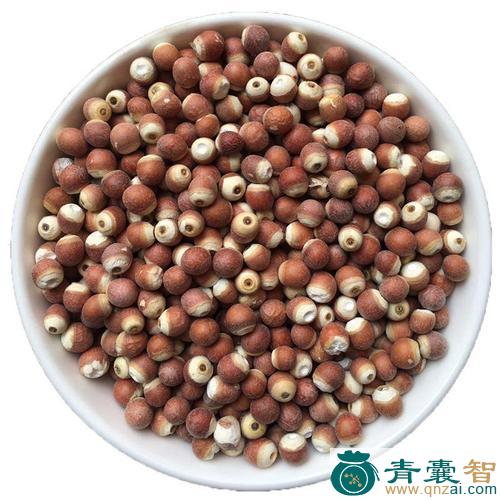 中药材刀芡实图片