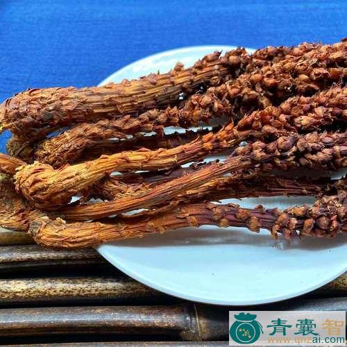 列当的性状性味归经以及功效用法和注意事项-青囊智