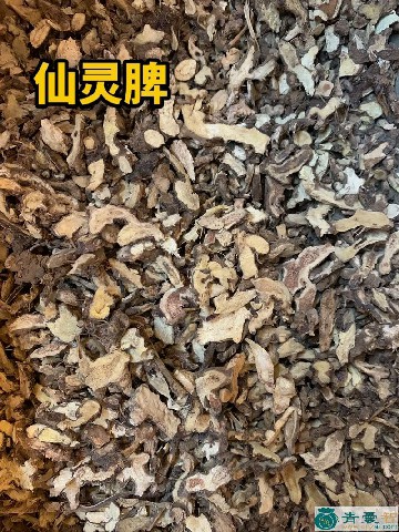 刚前的性状性味归经以及功效用法和注意事项-青囊智