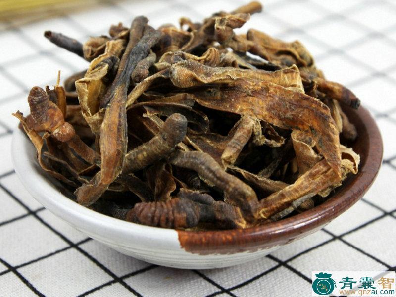 中药材刚果龙图片