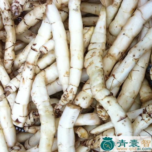别南根的性状性味归经以及功效用法和注意事项-青囊智