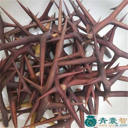 中药材刺头图片