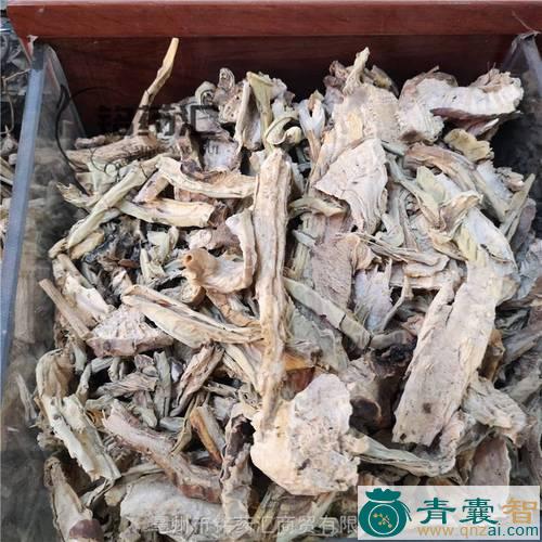 中药材刺巴掌图片