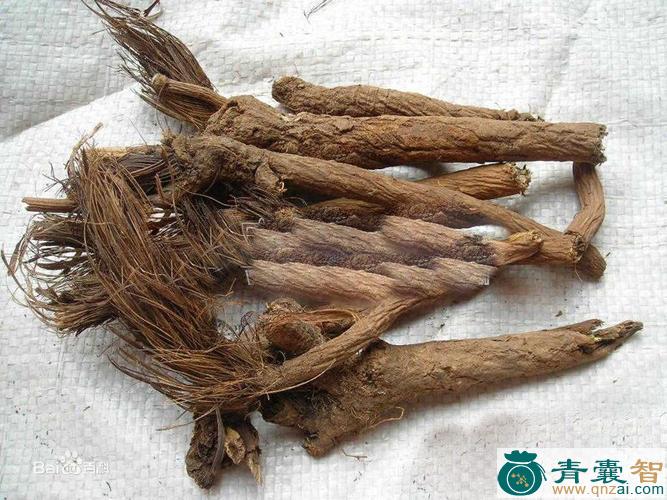 中药材刺梭罗图片