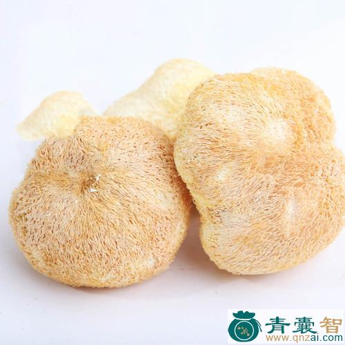 中药材刺猬菌图片