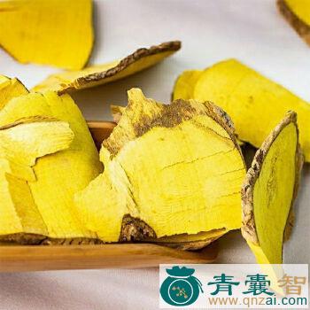 中药材刺莲藕图片