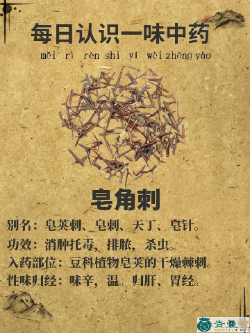 中药材刺藦苓草图片