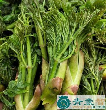 中药材刺龙牙图片