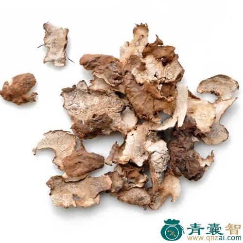 中药材前皮图片