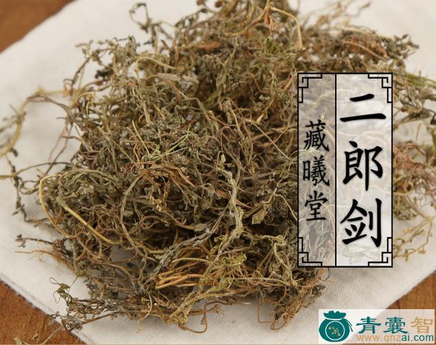 中药材剑草图片