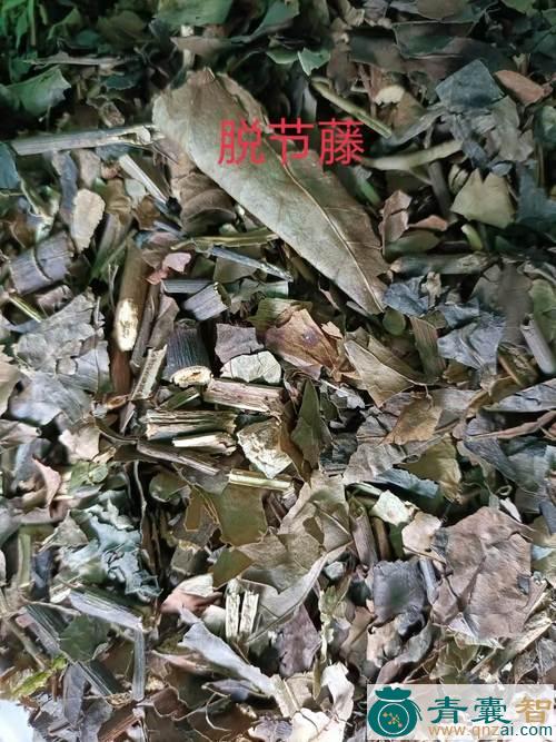 剥皮藤的性味归经以及功效用法-青囊智