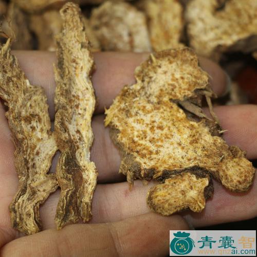 副山苍的性味归经以及功效用法-青囊智