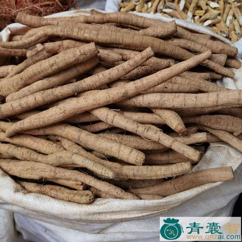 力股牛的性味归经以及功效用法和注意事项-青囊智