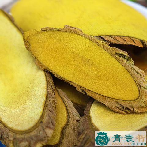 中药材功劳根图片