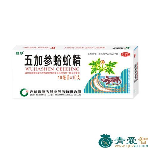 中药材加杰图片